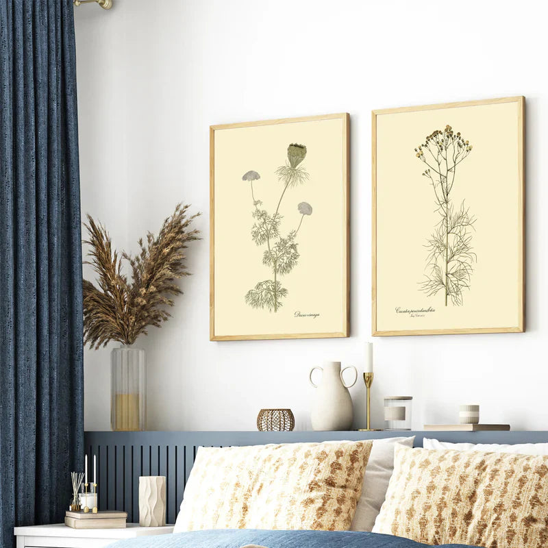 Cacalia Peucedanfolia Framed Art Print