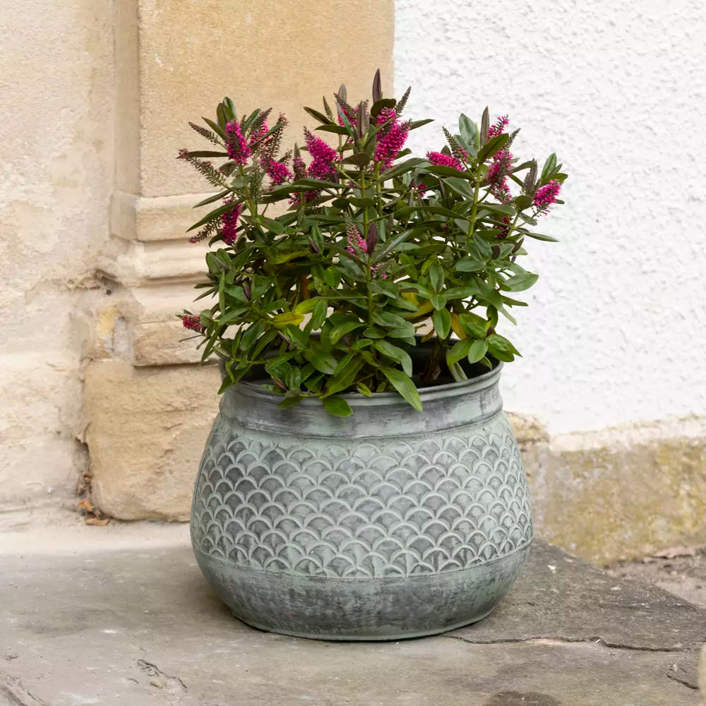 Decorative Zinc Planter