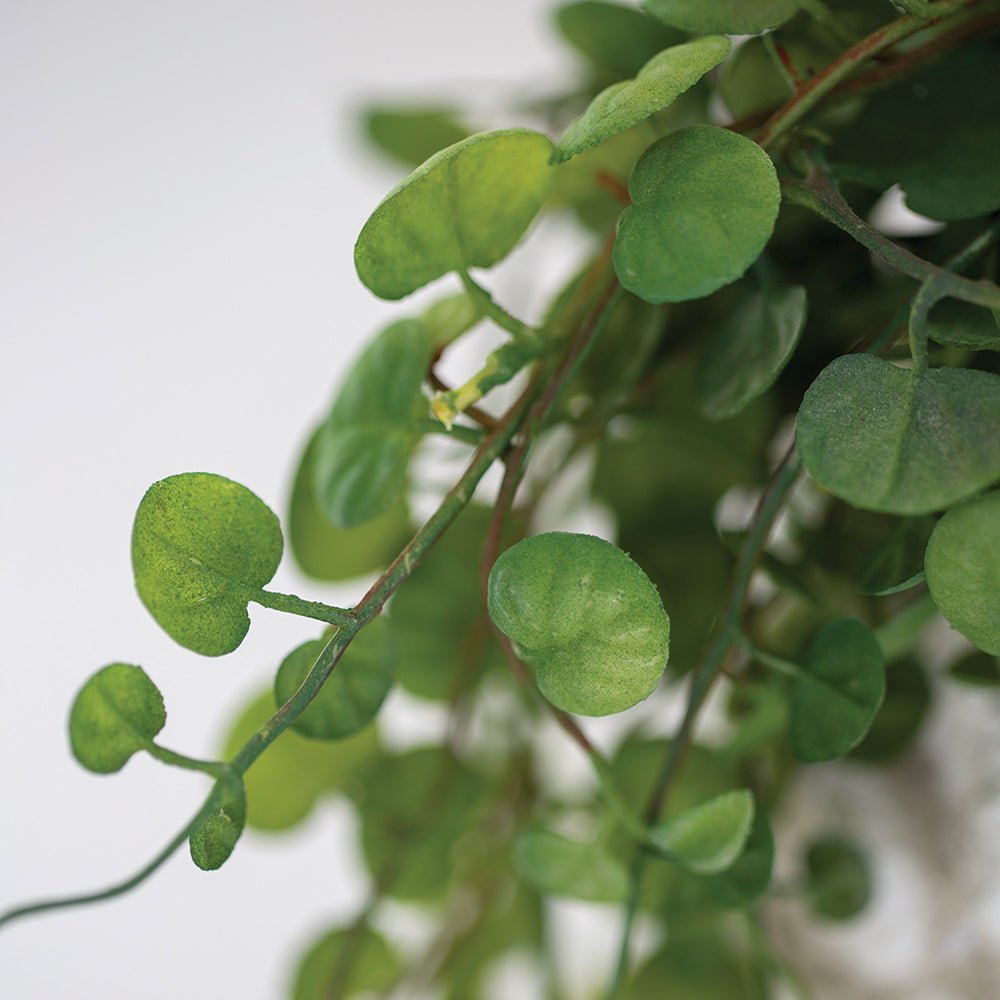 Artificial String of Hearts in Pot