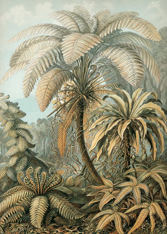 Alsophila Silver Fern Botanical Framed Art Print - 50x70 8215 - Uneeka