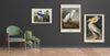 American White Pelican Framed Art Print - BFG 50x70 6504 - Uneeka