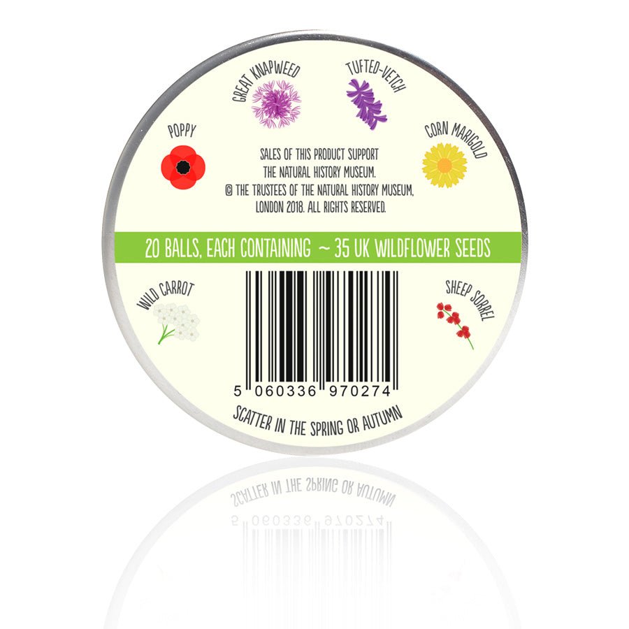 Bird Wildflower Mix Seedball Tin - BIRD - Uneeka