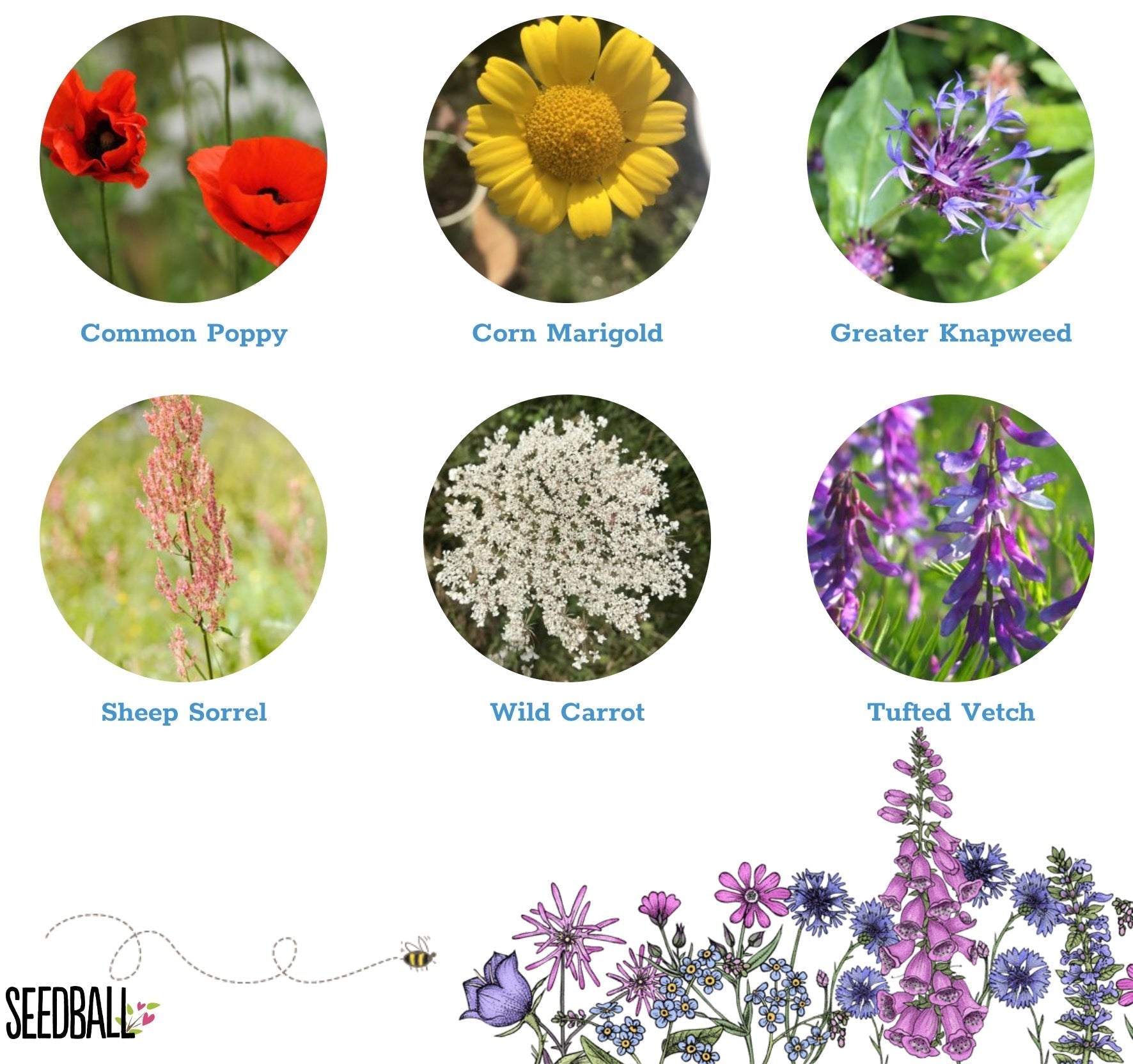 Bird Wildflower Mix Seedball Tin - BIRD - Uneeka