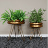 Brass Coloured Round Shallow Planter - 8920 - SMALL - Uneeka