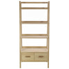 Denmark Two Drawer Laddered Bookcase - SH03 - Uneeka