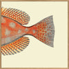 Dotted Orange Fish Tail Framed Print - OFP 30x30 5611 - Uneeka
