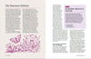 Ebb and Flow: A Guide To Seasonal Living Book - B073709 - Uneeka