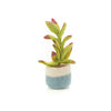 Felt Standing Artificial House Plants - PPCHH - PURPLE - Uneeka