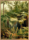 Fern Jungle Framed Art Print (LEFT) - OFG 50x70 2926L - Uneeka