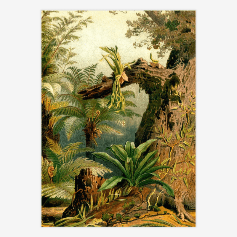 Fern Jungle Framed Art Print (RIGHT) - OFG 50x70 2926R - Uneeka