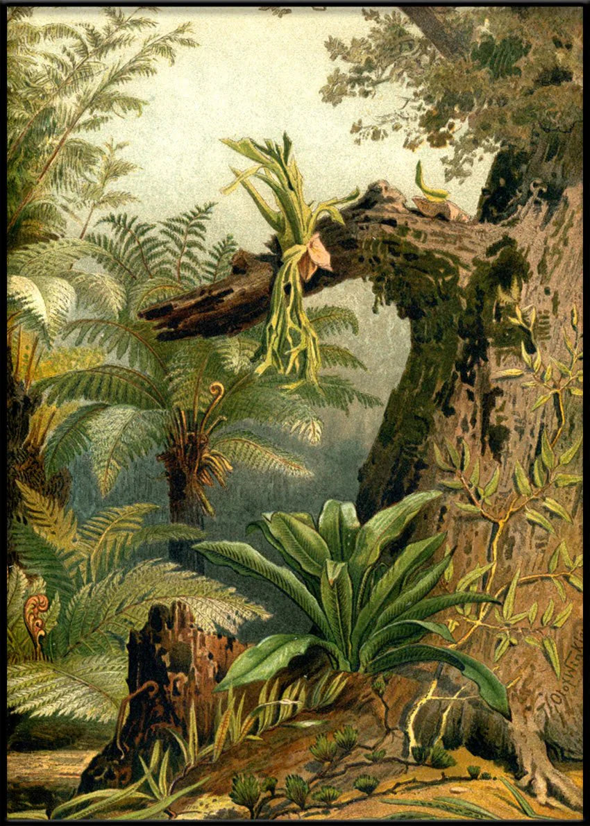 Fern Jungle Framed Art Print (RIGHT) - BFG 50x70 2926R - Uneeka