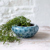 Flower Petal Pattern Teal Shallow Bulb Planter - LAN24819 - Uneeka