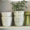 Green Assorted Patterned Plant Pots - CV02027 - Uneeka