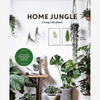 Home Jungle: Decorating Your Home With Plants Book* - B048891 - Uneeka