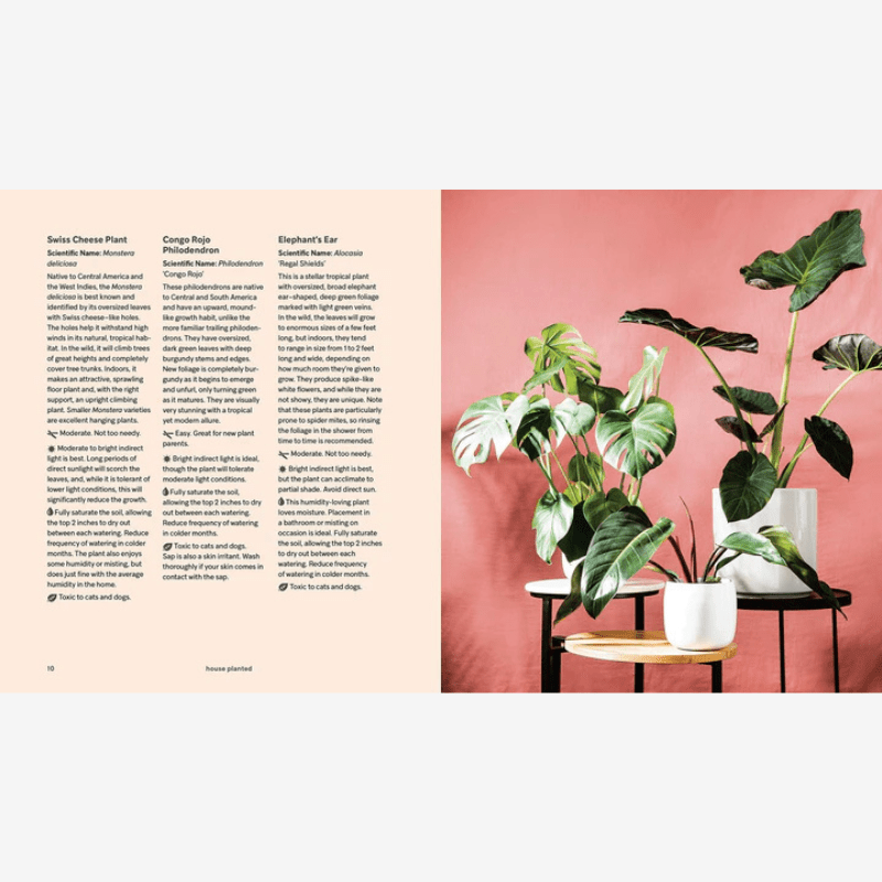 House Planted Decor Book* - B058190 - Uneeka