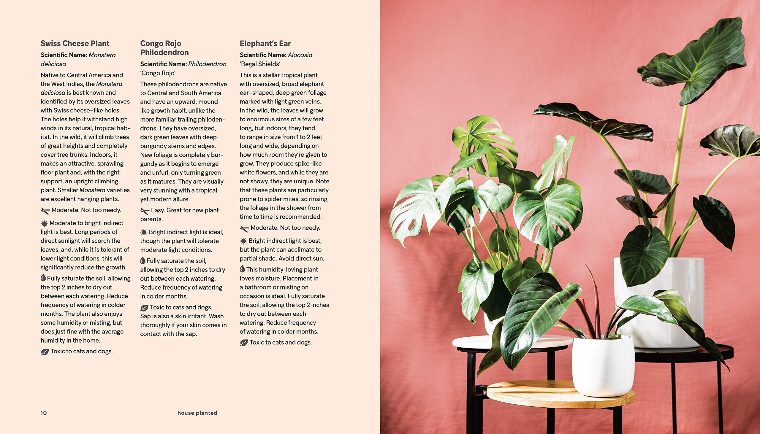 House Planted Decor Book* - B058190 - Uneeka