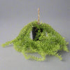 Imitation Spring Senecio in Black Pot - YF21769 - Uneeka