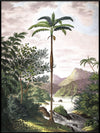 Jungle with Slim Palm Tree Framed Print - BFG 30x40 6101 - Uneeka