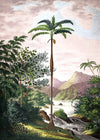 Jungle with Slim Palm Tree Framed Print - 30x40 6101 - Uneeka