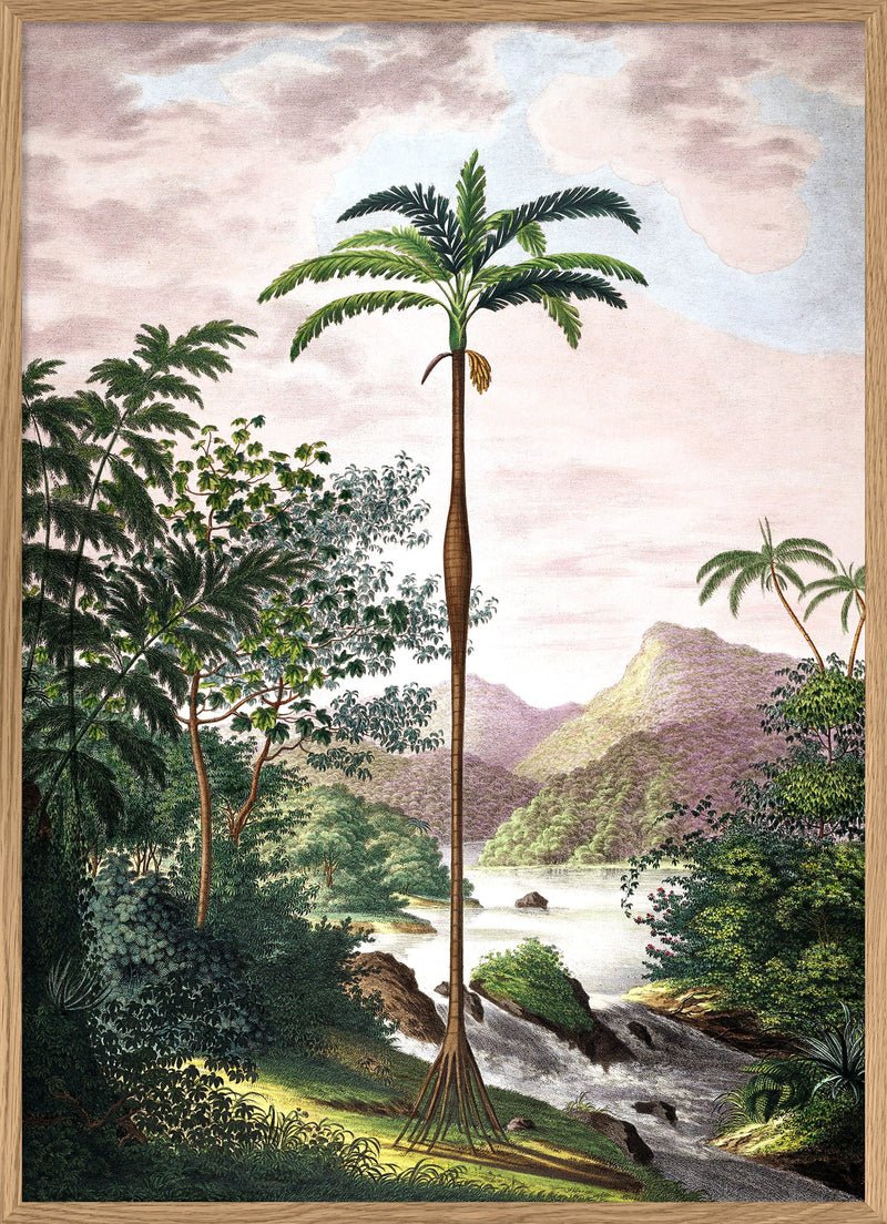 Jungle with Slim Palm Tree Framed Print - OFG 30x40 6101 - Uneeka