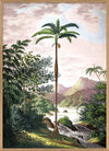 Jungle with Slim Palm Tree Framed Print - OFG 30x40 6101 - Uneeka