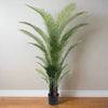 Large Ornamental Palm Tree - AF87 - Uneeka