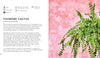 Little Book of Big Plants - B049520 - Uneeka
