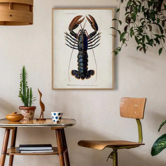 Lobster Framed Art Print - OFG 50x70 6600 - Uneeka