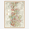 Mississippi Meanders 1 Framed Art Print - OFP 50 x 70 8400 - Uneeka