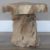 Natural Organic Teak Root Side Table - 8836 - Uneeka