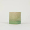St Eval Sea & Shore Ceramic Pot Candle Fig Tree - F01514 - Uneeka