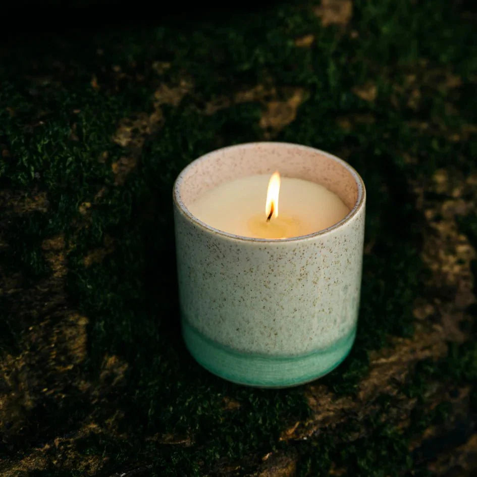 St Eval Sea & Shore Ceramic Pot Candle Fig Tree - F01514 - Uneeka