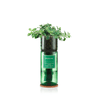 Oregano Hydro Herb* - OREGANO - Uneeka