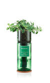 Oregano Hydro Herb - OREGANO - Uneeka