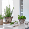 Outdoor Scalloped Edge Rustic Plant Pot - OAMSEB2 - SMALL - Uneeka