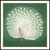 Peacock On Green Framed Print - BFG 30x30 4832 - Uneeka