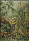 Polytrichum Moss Jungle Botanical Framed Print - BFG 30x40 8216 - Uneeka