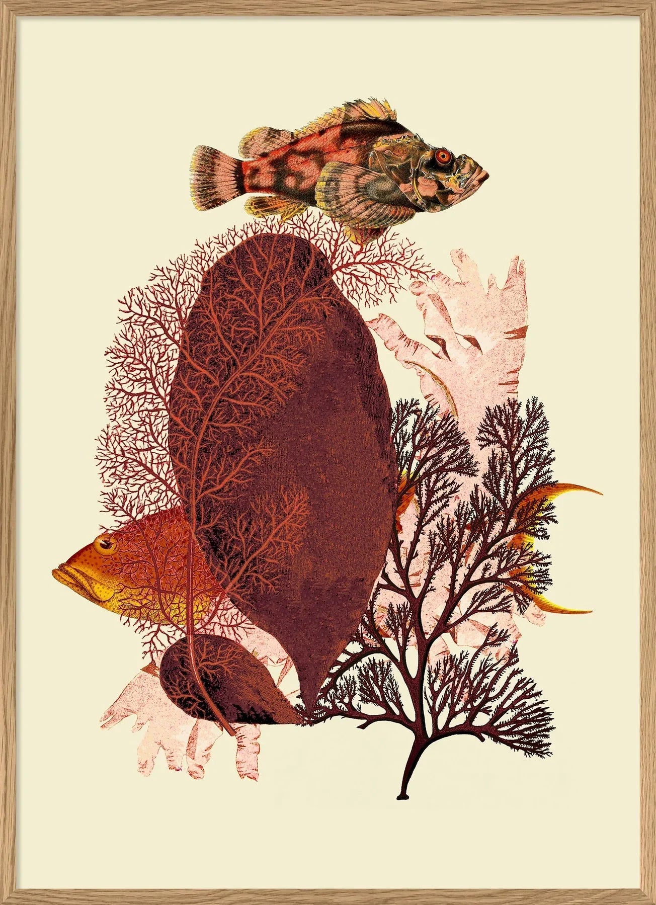 Red Tone Fish Framed Art Print - OFP 50x70 5600 - Uneeka