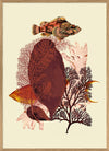 Red Tone Fish Framed Art Print - OFP 50x70 5600 - Uneeka