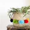 Seagrass Basket With Multi Colour Pom Poms - bsk30 - Uneeka