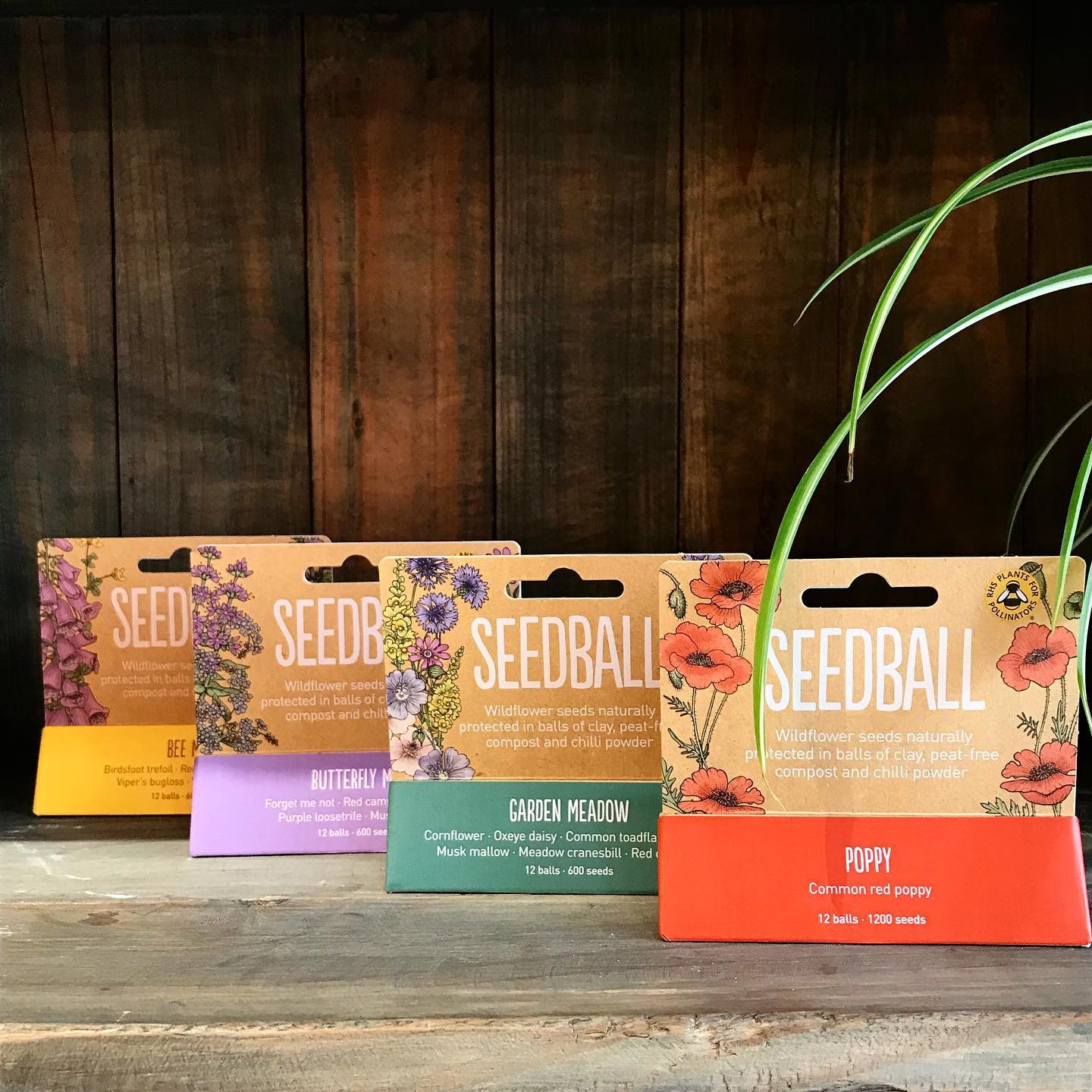 Seedball Hanging Seed Tube Packs - PACK - POP - Uneeka