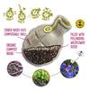 Seedbom Cornflower Power - SSBOM - CP - Uneeka