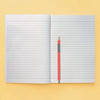 Set of 2 A5 Funky Guinea Pigs Notebooks - DUO02 - Uneeka