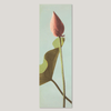 Single Lotus Flower Bud Framed Print* - 35x112 9004 - Uneeka