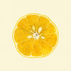 Sliced Open Lemon Framed Print - 61x61 5819 - Uneeka