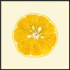 Sliced Open Lemon Framed Print - BFG 30x30 5819 - Uneeka