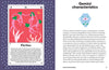 Stella Andromeda: Gemini Astrological Book - B046685 - Uneeka