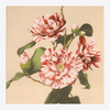 Striped Camelias Floral Framed Art Print* - 61x61 9008 - Uneeka