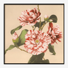 Striped Camelias Floral Framed Art Print* - BFG 30x30 9008 - Uneeka