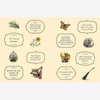 The Green Witch's Sticker Book - B076074 - Uneeka